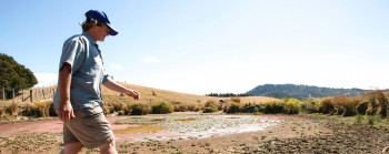 A person wearing a cap, shorts and boots walks over a dried-out lake bottom. Some shallow water remains, which contains green algae.