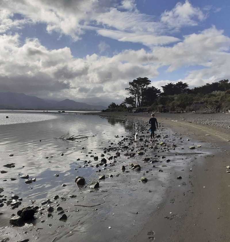 Person walking their dog along a lake