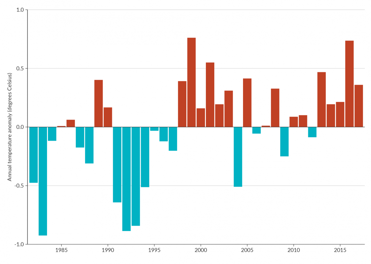 Bar graph showing annual sea-surface temperature anomalies, with a greater number of positive anomalies in recent decades indicating warming coastal waters.