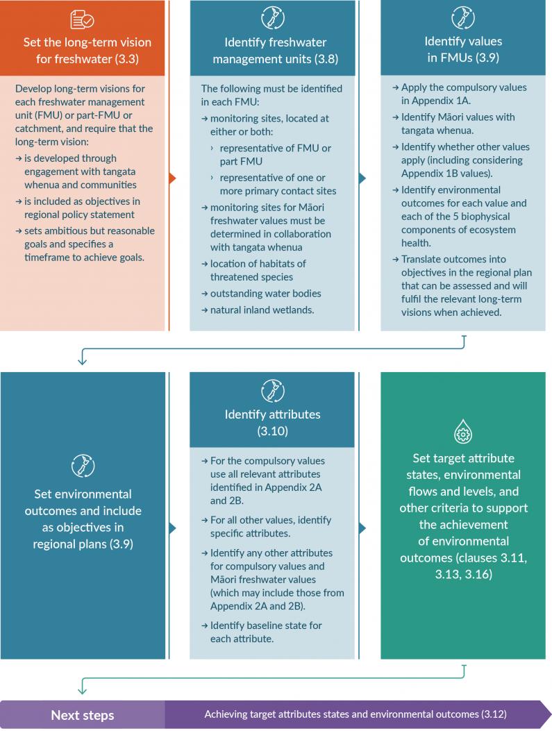 Six-step, one-directional flow chart identifying the steps between setting the long-term vision for freshwater and setting targets to achieve environmental outcomes.