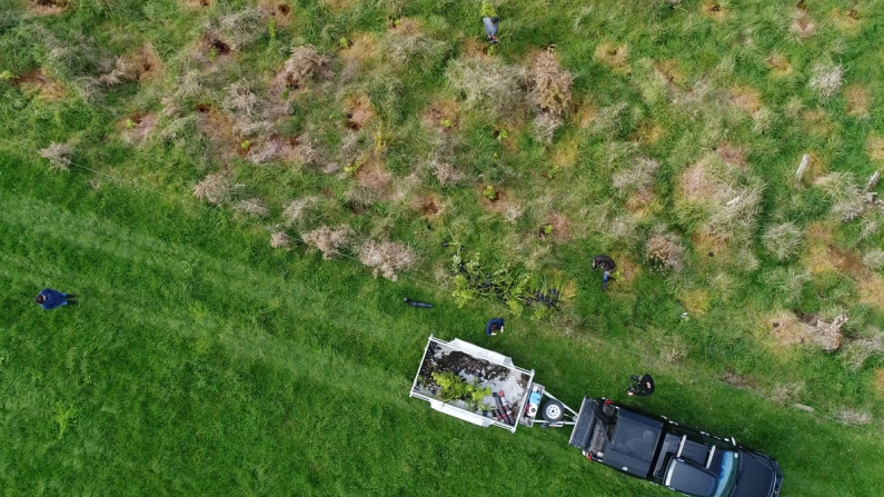 Riparian planting on Bede Kissicks farm