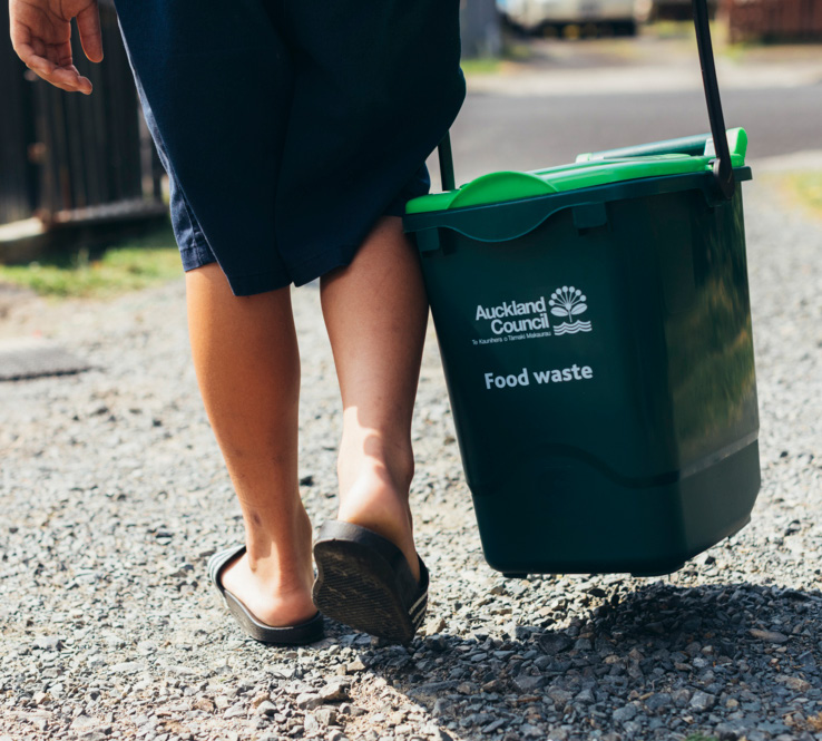 foodscraps collection