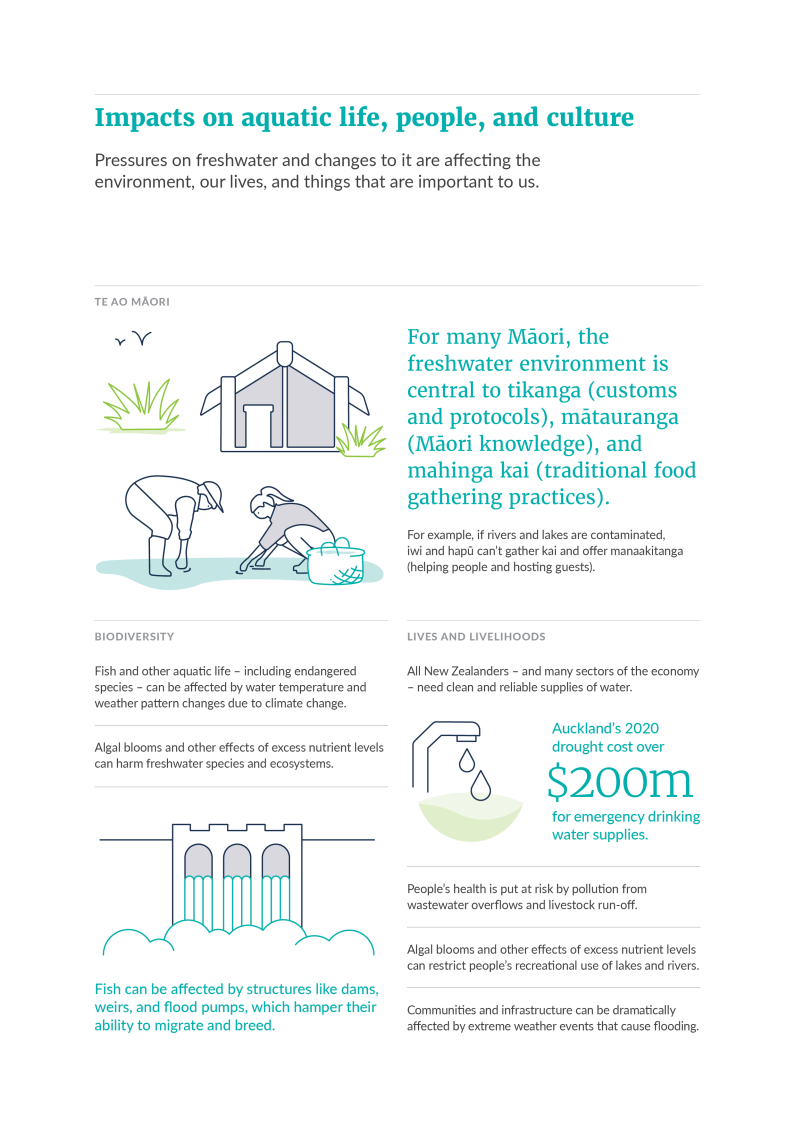 Impacts on aquatic life, people, and culture infographic.  Read the description for full text.