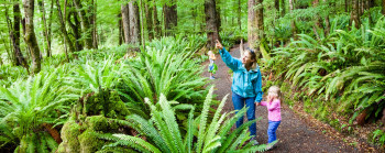 A woman and two children in a forest of tress, standing in front of ferns.