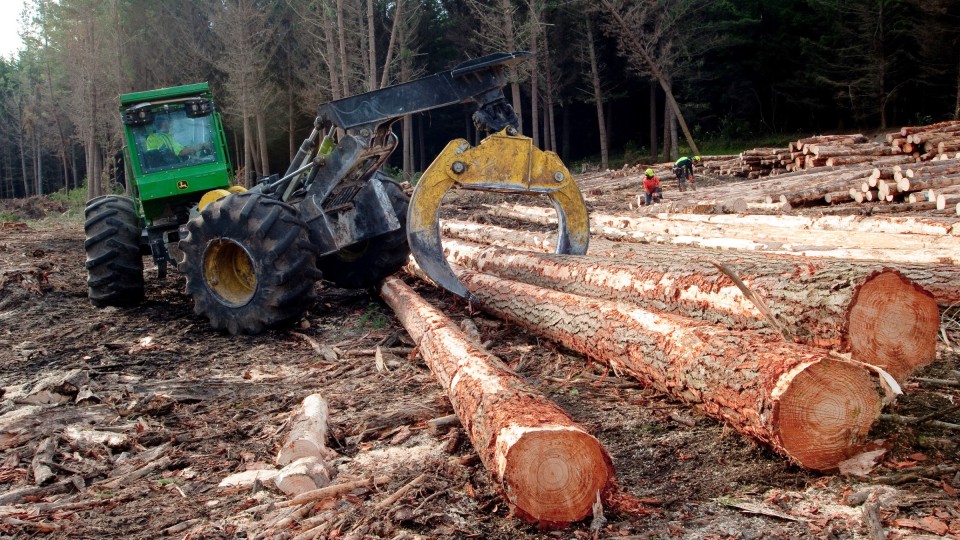 A green digger picks up a log from a pile. There is a forest in the background.