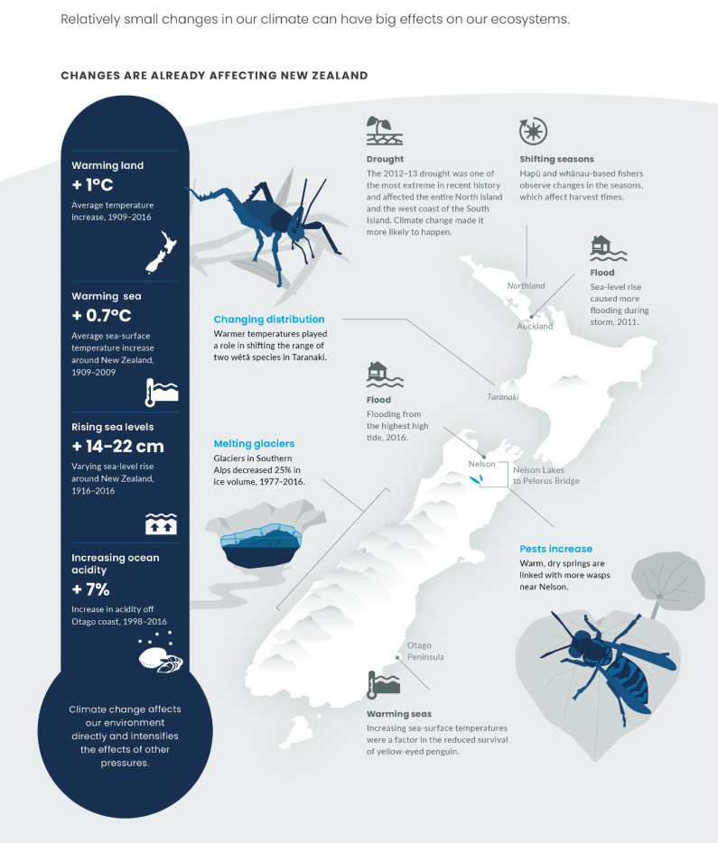 Impacts of climate change. Infographic.