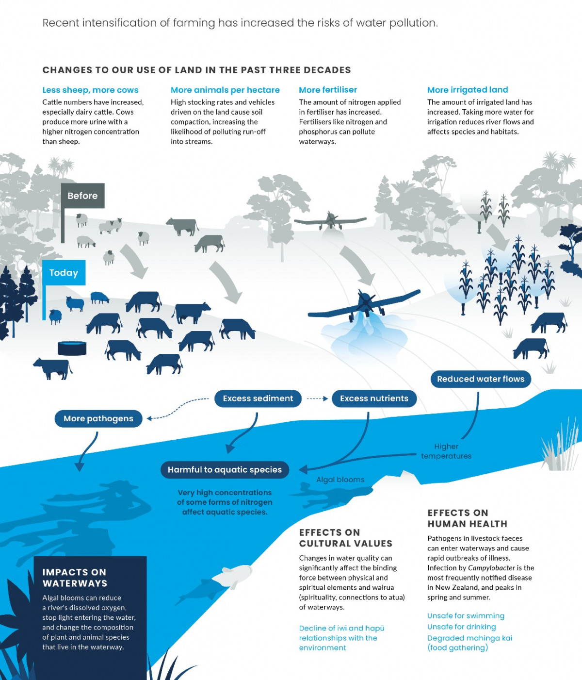 Intensified farming. Infographic.