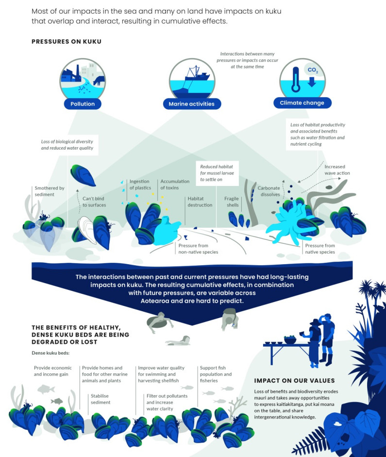 All pressures that affect kuku. Infographic.