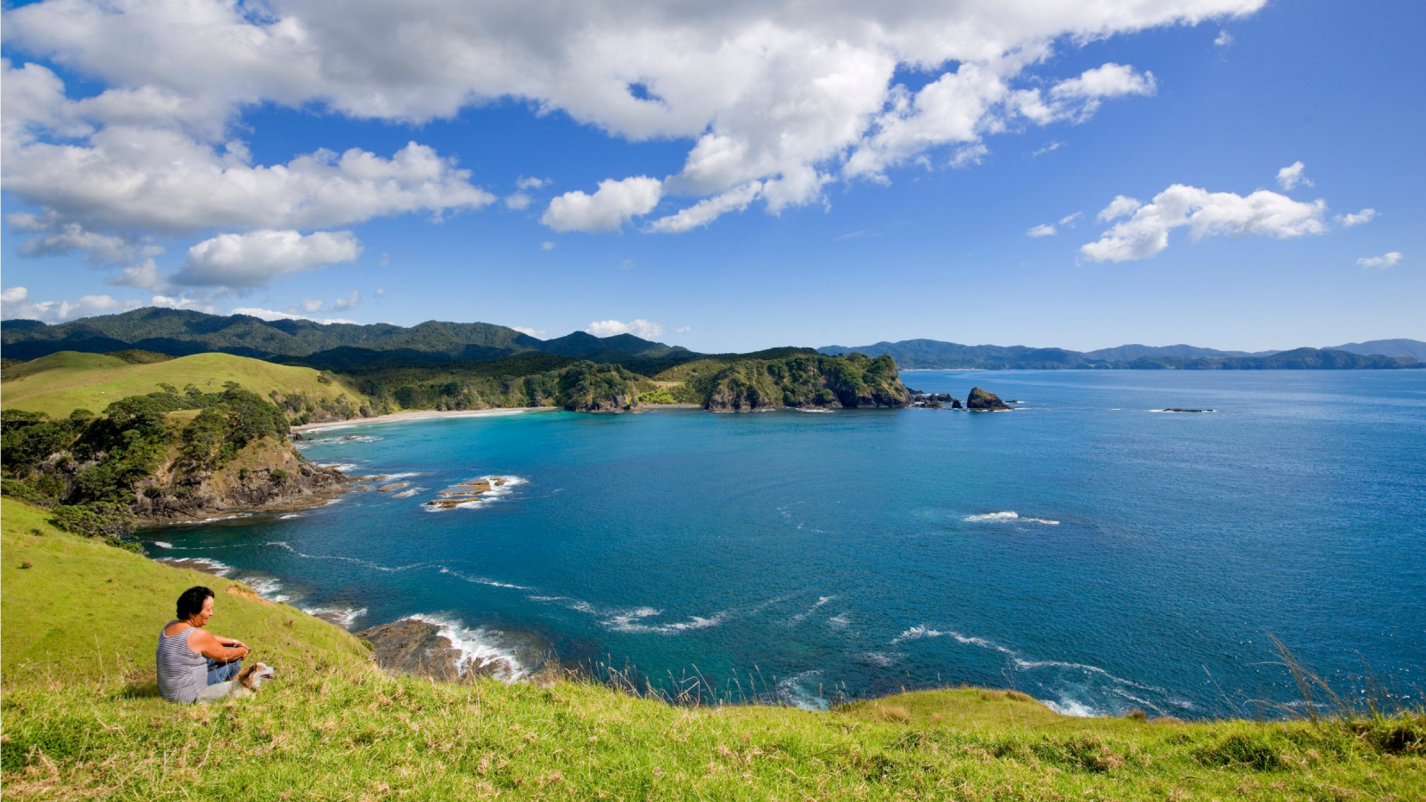 Person sitting on a hill-side overlooking the ocean.