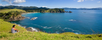 Person sitting on a hill-side overlooking the ocean.