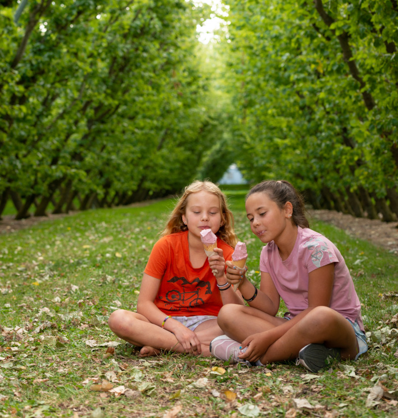 Two girls sitting crossed legged under orchard trees eating fruit ice creams. 