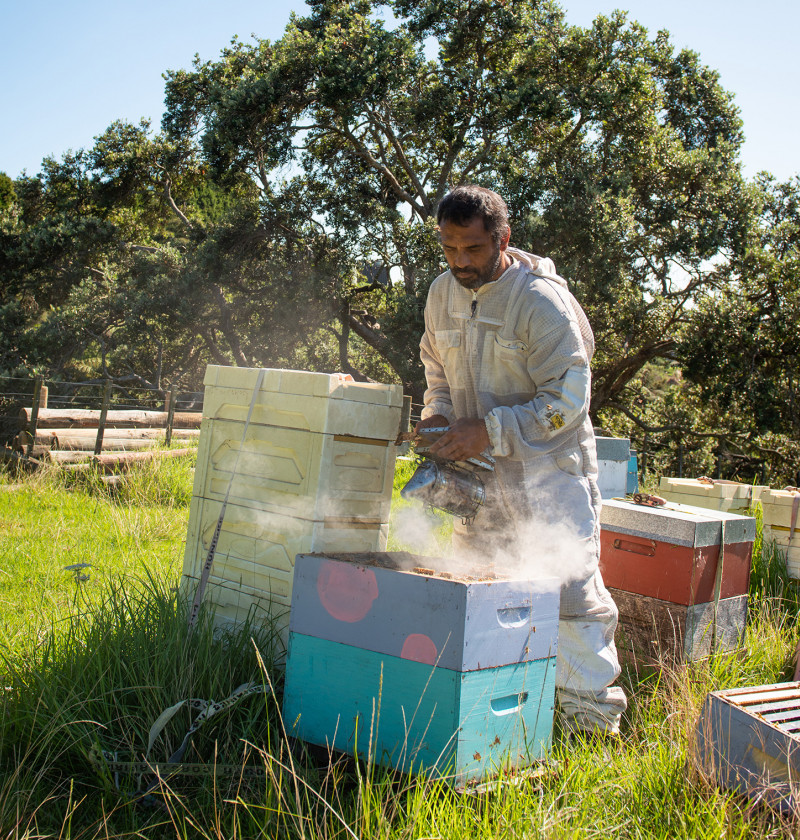 A man dressed in protective clothing blowing smoke into a beehive.  