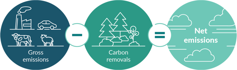 An infographic of three circles as an equation labelled gross emissions minus carbon removals equals net emissions.  