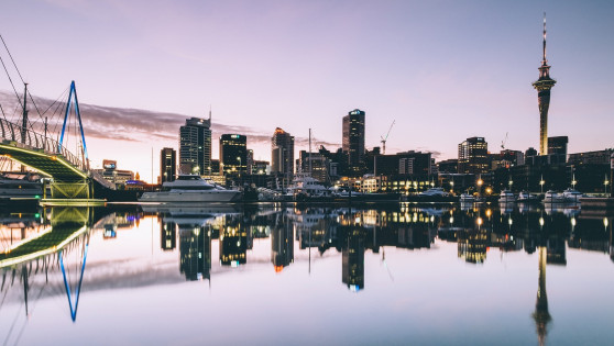 Auckland harbor