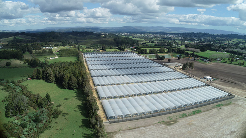 View over Ngawha Innovation and Enterprise Park