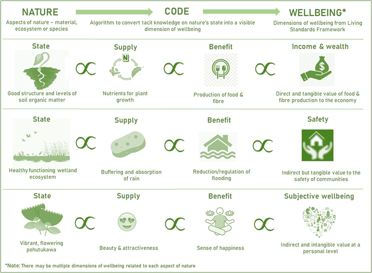 Codification examples of the connection between nature and people