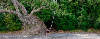 A child playing on a tyre swing tied to a large tree.