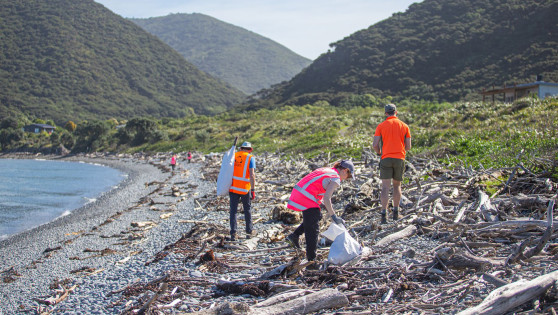 kapiti beach clean up