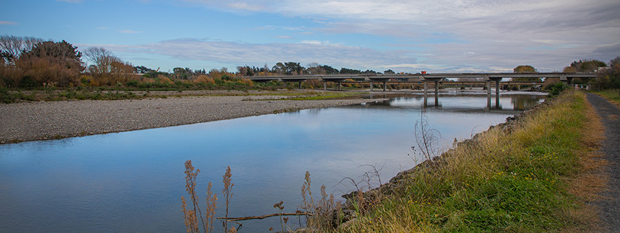 kapiti coast waikanae estuary v3