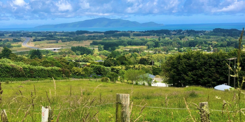 kapiti island